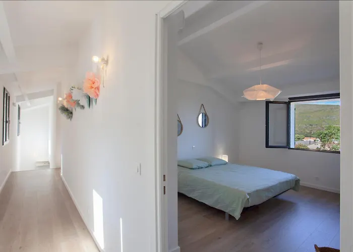 Kim Siscu A 300m De La Villa Sisco