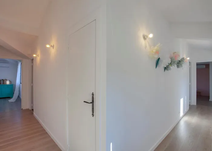 Kim Siscu A 300m De La Villa *